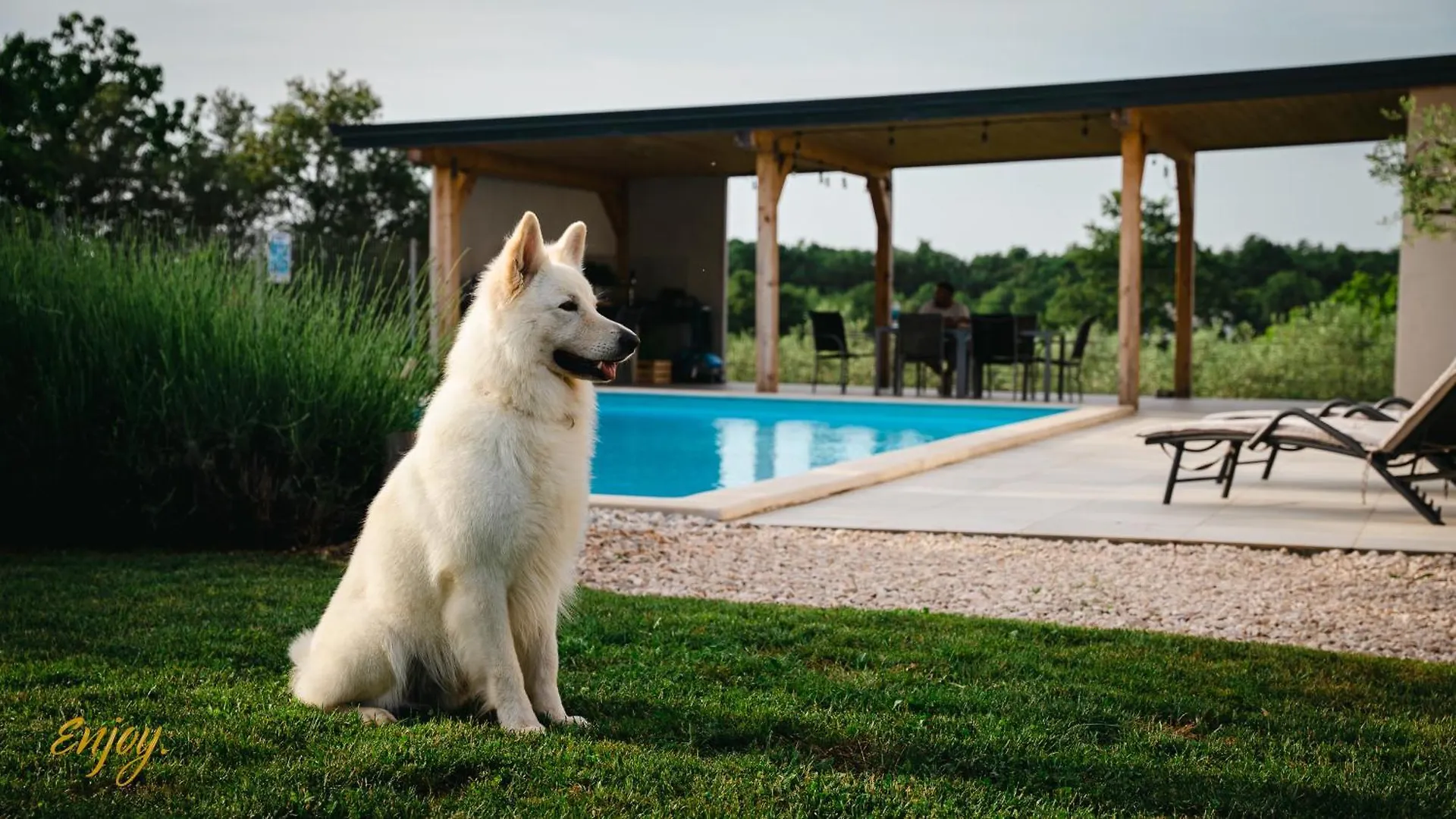 Apartment Enjoy Blue, With Pool & Pets Welcome Croatia
